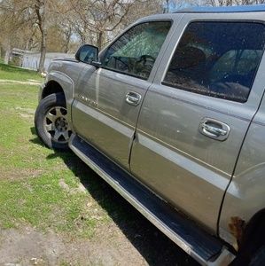 Meet your Posher, Molly